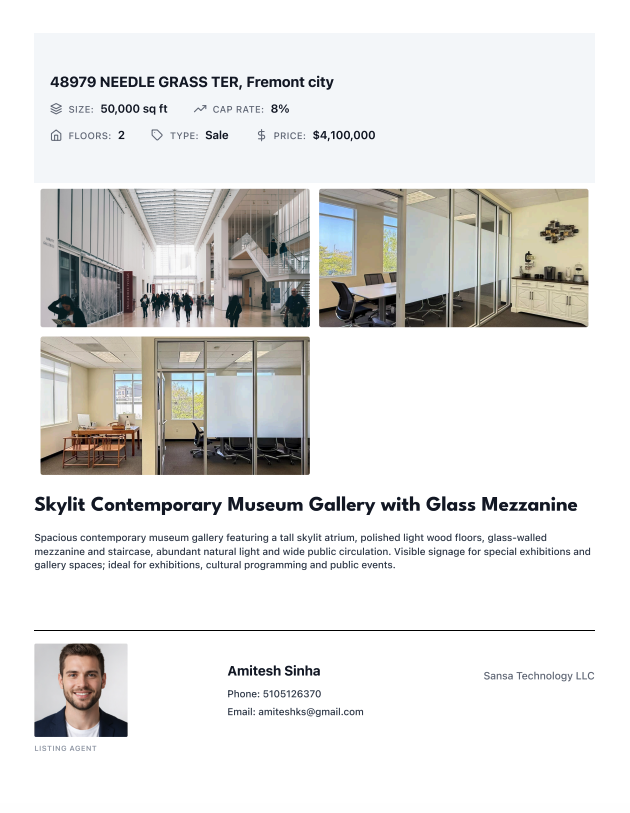 Example Antela property flyer
